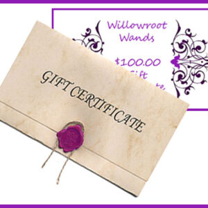 $100 Gift Certificate