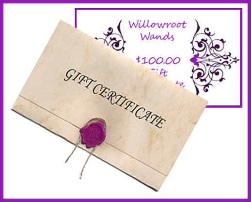 $100 Gift Certificate