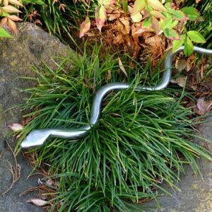 Sacred Snake Wand -W80